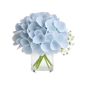 Serene Petal Harmony