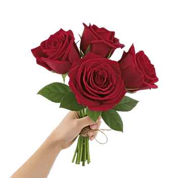 Crimson Rose Elegance