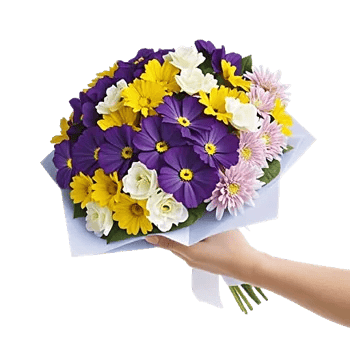 Blossom Petal Serenity