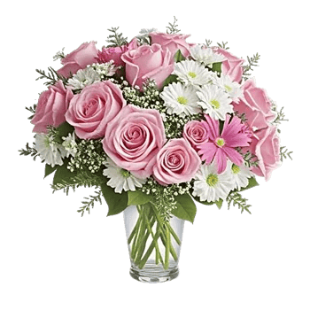 Pink Pastel Roses