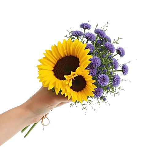 Twinkling Sunflower Dance