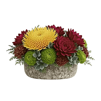 Golden Rose Radiance