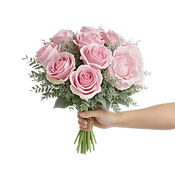 Pastel Pink Roses