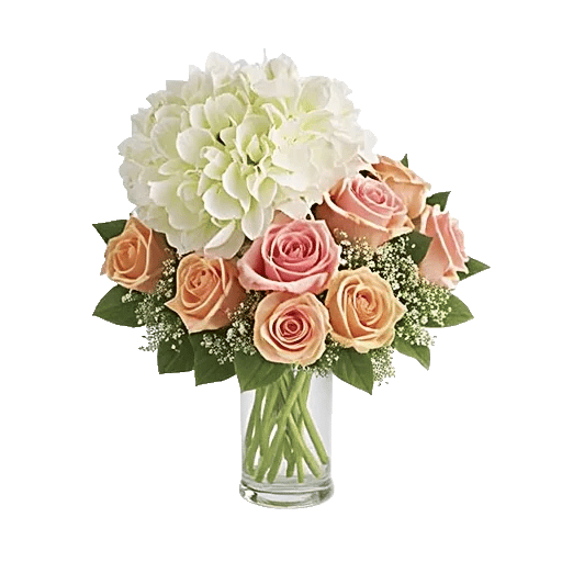 Ivory Blossom Radiance
