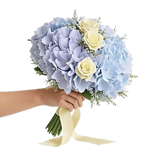 Serene Petal Harmony