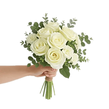 Ivory Garden Grace