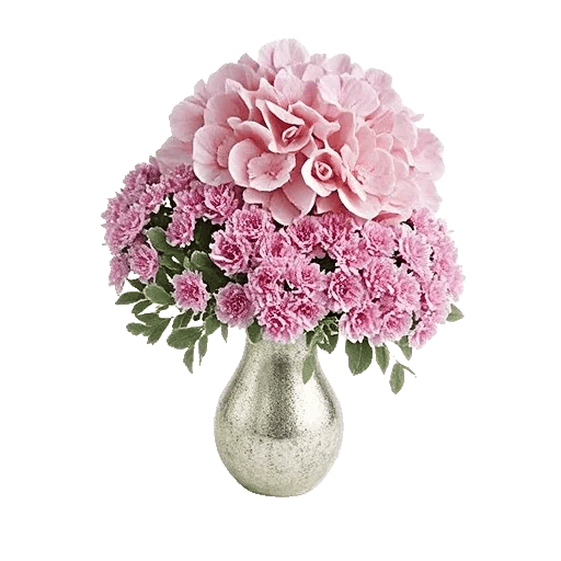 Ivory Blossom Radiance