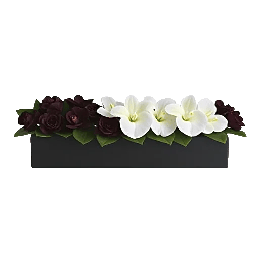 Modern White Orchids