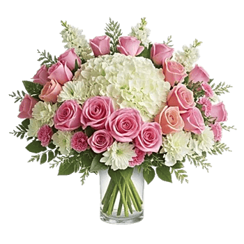 Serene Petal Harmony