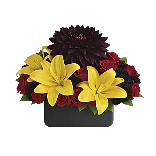 Modern White Orchids