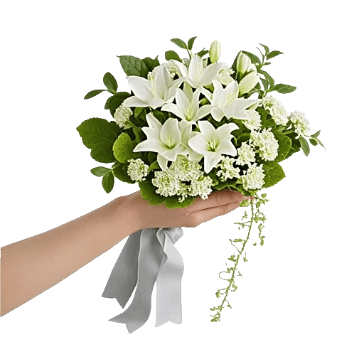 Ivory Blossom Radiance