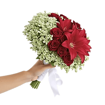 Blushing Rose Symphony