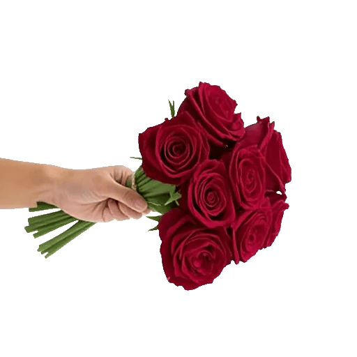 Crimson Rose Elegance