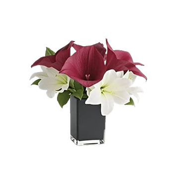 Elegant Calla Lilies