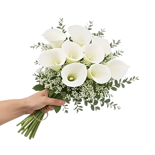 Elegant Calla Lilies