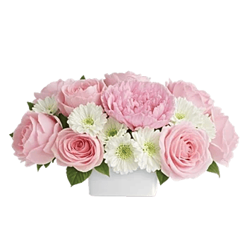 Delicate Petal Cascade
