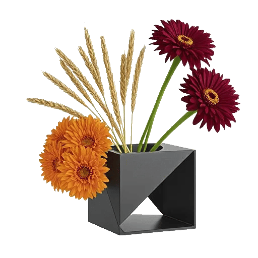 Blossom Grace Spread