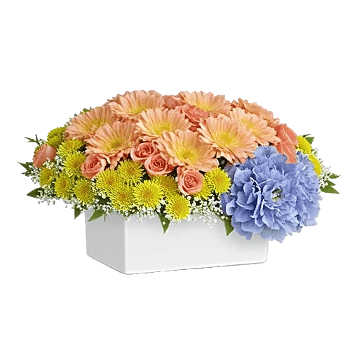 Delicate Petal Cascade