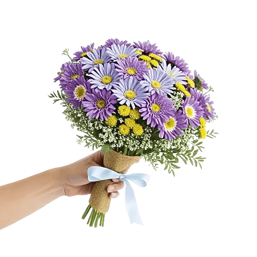 Blossom Petal Serenity