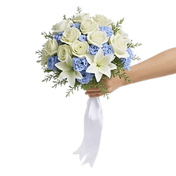 Delicate Petal Cascade