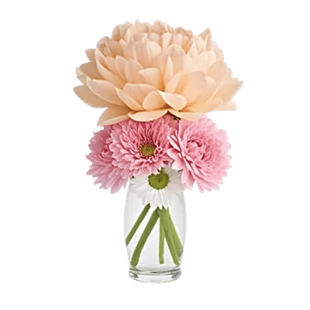 Petal Radiance Bliss