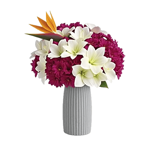 Petal Radiance Bliss