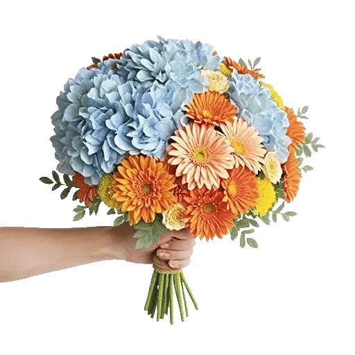 Serene Petal Harmony