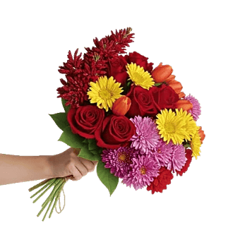 Crimson Blossom Harmony