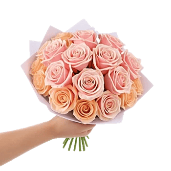 Blushing Rose Symphony