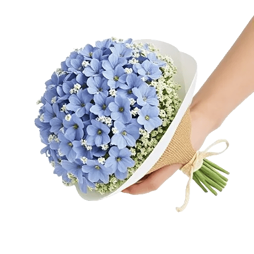 Blossom Petal Serenity