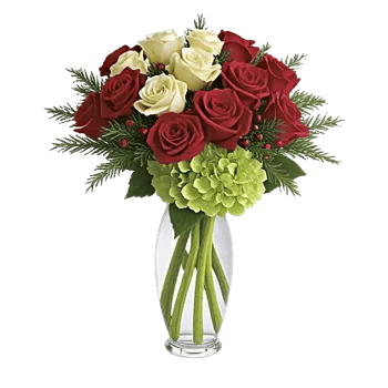 Ivory Blossom Radiance