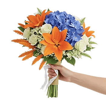 Serene Petal Harmony