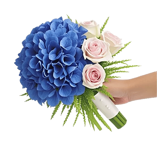 Serene Petal Harmony