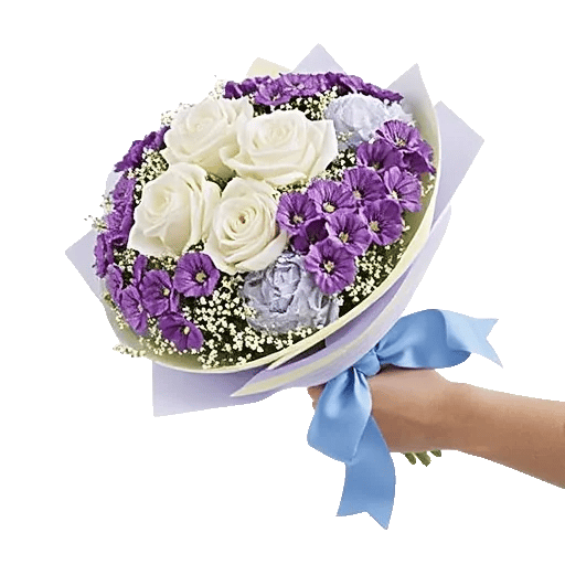 Serene Petal Harmony