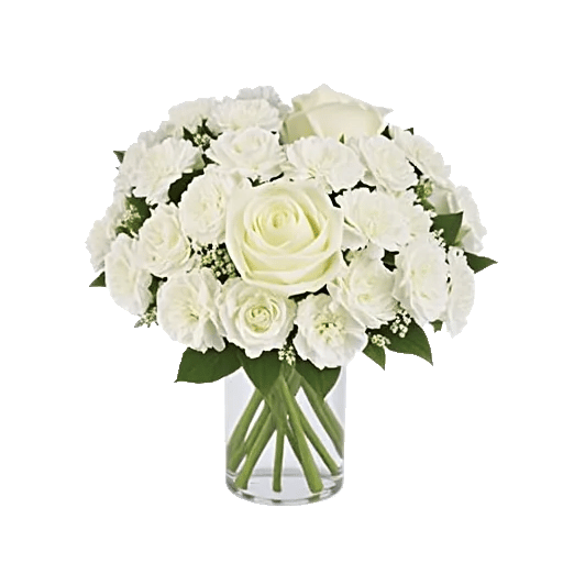 Delicate Petal Cascade