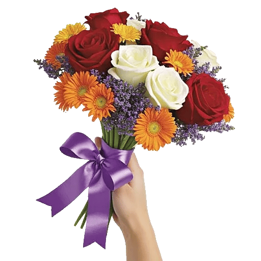 Crimson Rose Elegance