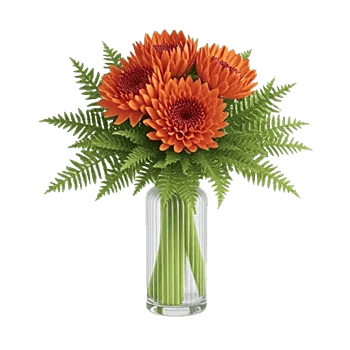 Petal Radiance Bliss