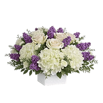 Serene Petal Harmony