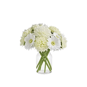 Ivory Blossom Radiance