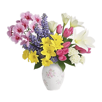 Orchid Bloom Cascade