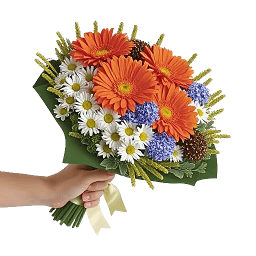 Radiant Bloom Cascade