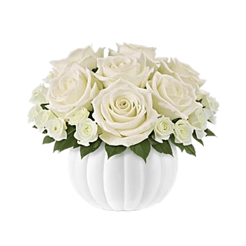 Modern White Orchids