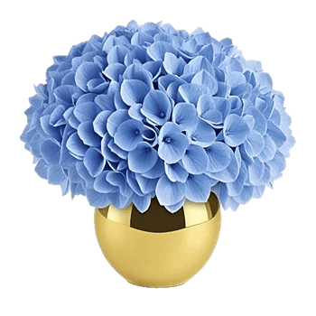 Azure Sky Blooms