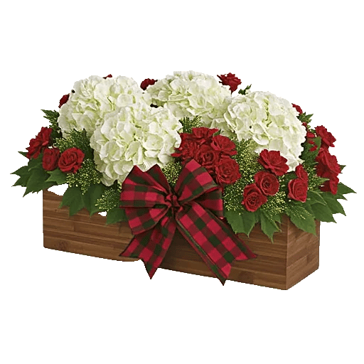 Delicate Petal Cascade