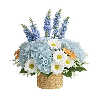 Serene Petal Harmony