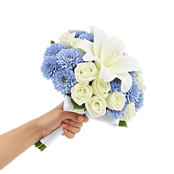 Blossom Petal Serenity