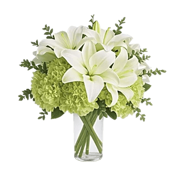 Ivory Blossom Radiance