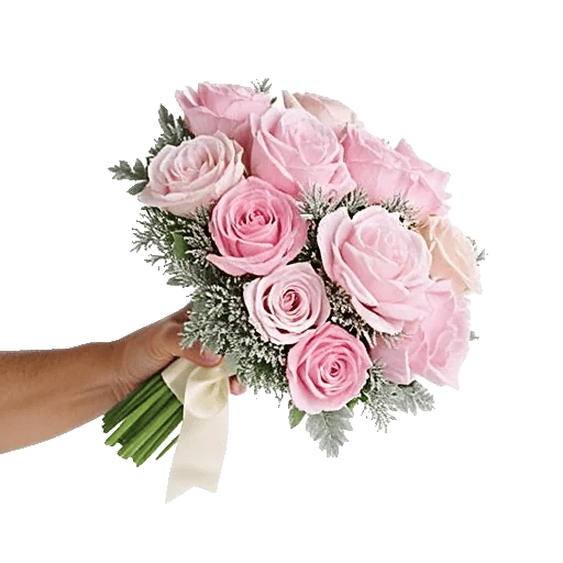 Pastel Pink Roses