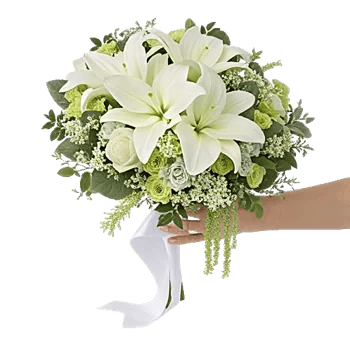 Ivory Garden Grace