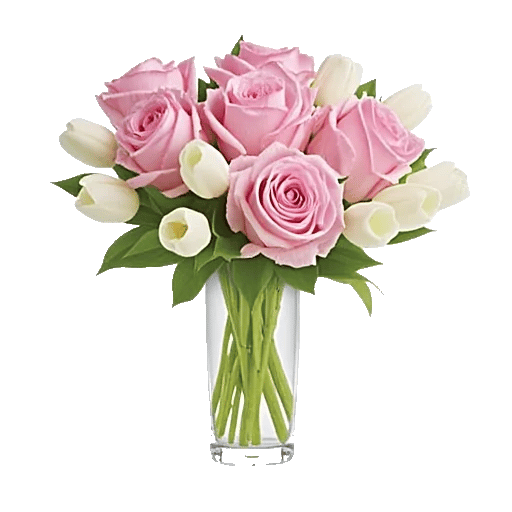 Pink Pastel Roses